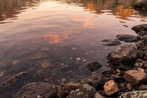 Close-up crop of shoreline detail after JPG conversion